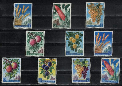 Frutta prodotti agricoli - e,