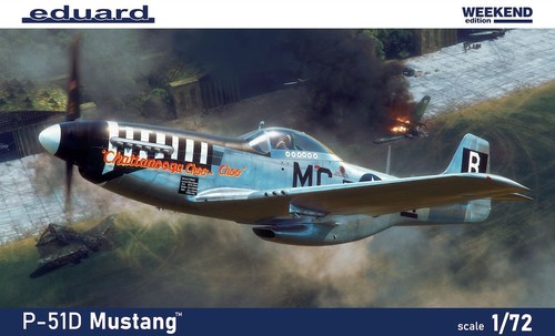 Mustang weekend - p-51,