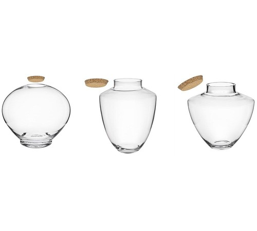 Terrarium gigante vetro tappo - terrarium,