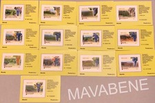 ITALIA 2016 VINO DOCG SERIE COMPLETA 13 TESSERE TESSERA FILATELICA FRANCOBOLLO