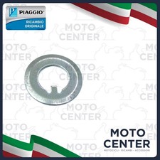 RONDELLA PIGNONE CAMPANA