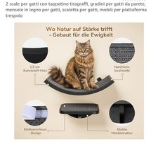 2 Tiragraffi per Gatti con