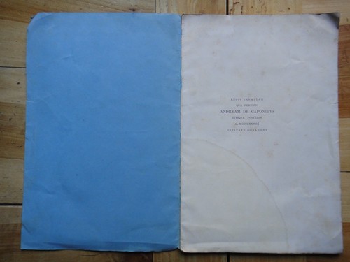 1874 famiglia capponi - capponi., andrea