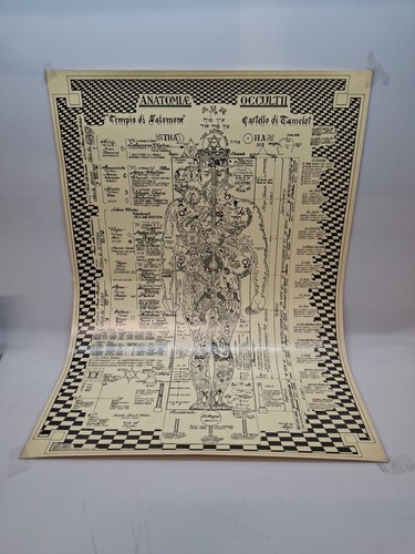 Poster anatomia occulta ismael - anatomia,