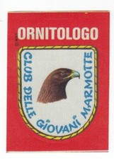 IL CLUB DELLE GIOVANI MARMOTTE