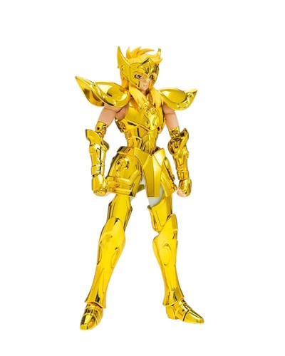 Saint seiya cloth - saint,