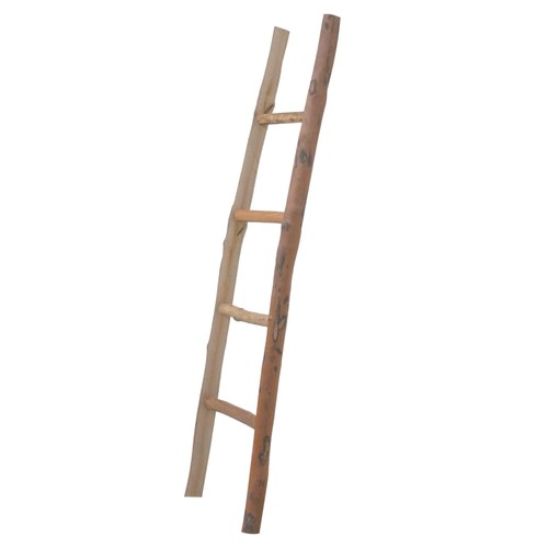 Biscottini scaletta porta - biscottini,