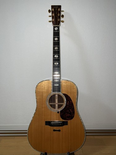 Acoustic martin standard - d-45,