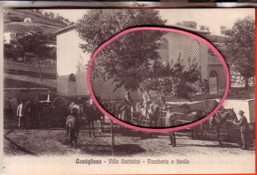 Cartolina contigliano non - cartolina,