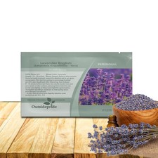 English Lavender Seeds - 5000