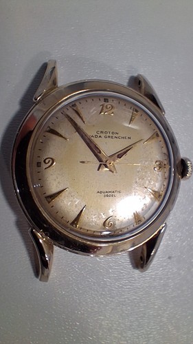 Croton nivada grenchen - croton,