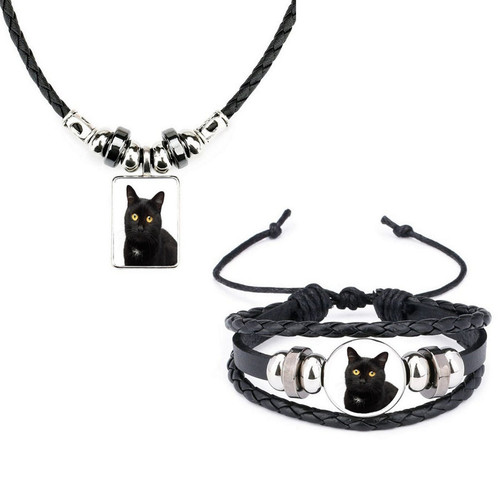 Set black cat pet - set,
