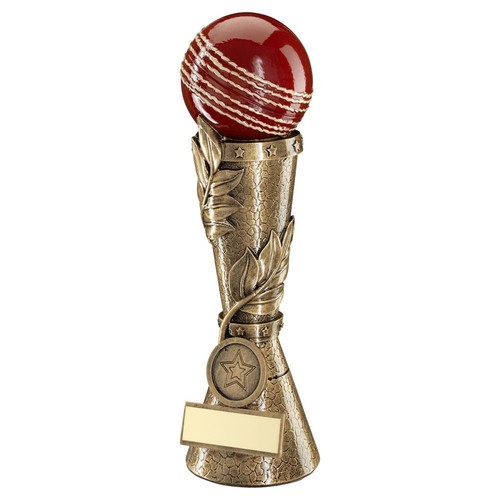 R4us trophy award - trophy,