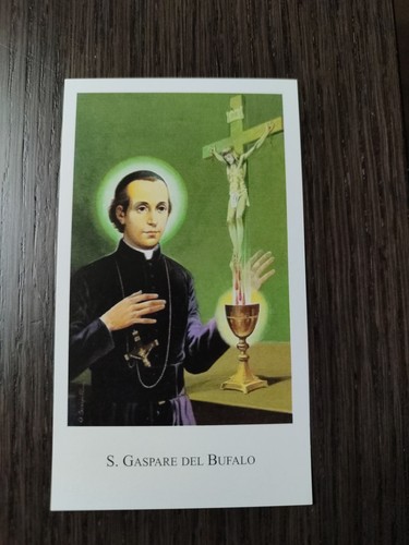 San gaspare del - gaspare, bufalo