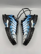 Nike Air Max Plus TN Neptune