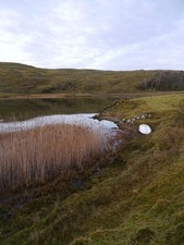 Photo A2 Loch Fiart Baligrundle The north-east corner of Loch Fiart at t c2012