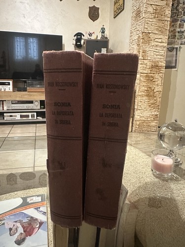 Romanzo sonia deportata - la,