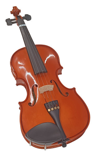 Violino domus rialto da - domus,