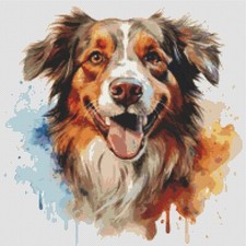 Pastore australiano cucciolo