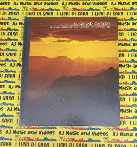 Book libro grand - book*libro,