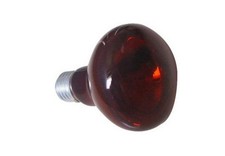 LAMPADA RISCALDANTE INFRAROSSI PER RETTILI 25 W