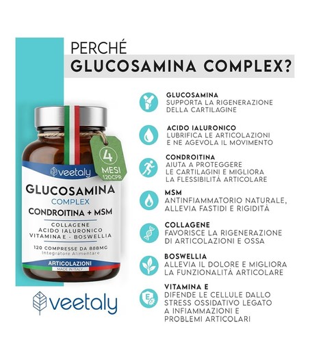 Glucosamina condroitina msm - glucosamina,