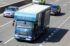 T55 6x4 Truck Photo HY11 ULG