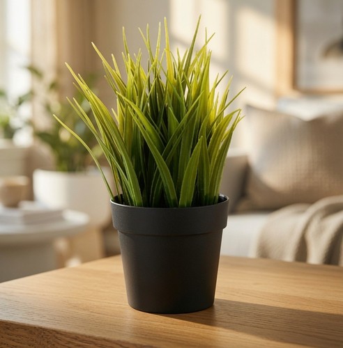 Ikea fejka pianta - ikea, di