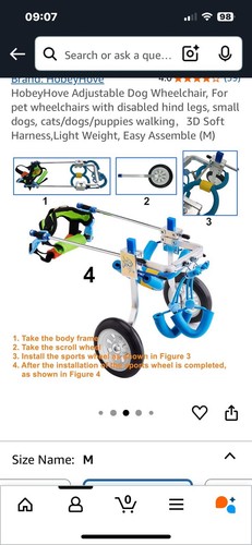 Sedia rotelle per cani - sedia,