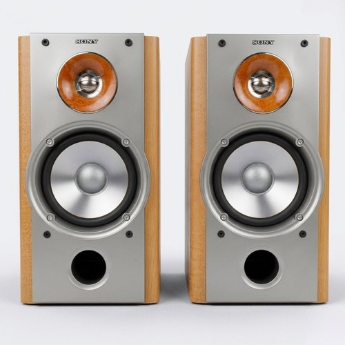 Sony nx1 coppia - sony, ss-nx1