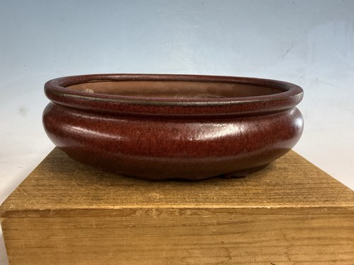 Vaso bonsai tokoname - bonsai,