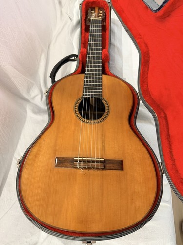 Liuto chitarra classica - liuto/chitarra,