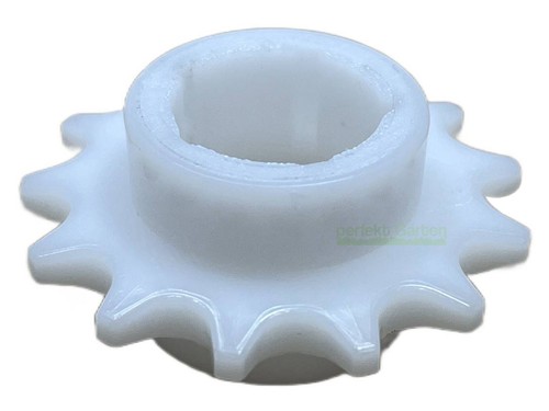 Pignone denti per - 13,