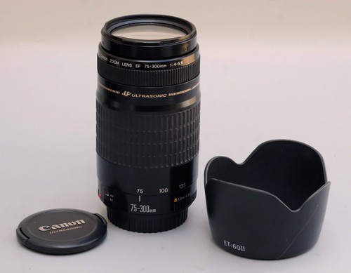 Canon 300mm 4 - canon, f/4-5.6