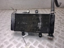 RADIATORE LEXMOTO LXS 125 LXS