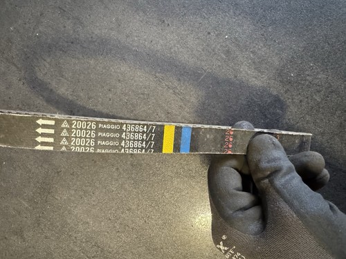Cinghia trapezoidale piaggio - trapezoidale,