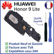 Module haut parleur - module, haut-parleur