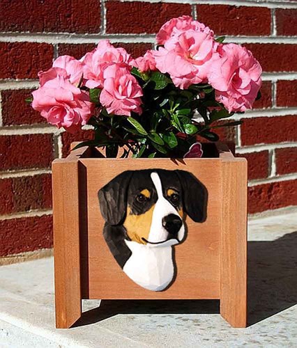 Fioriera entlebucher - fioriera,