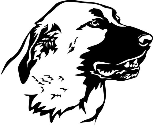 Adesivo kangal karabash - adesivo,