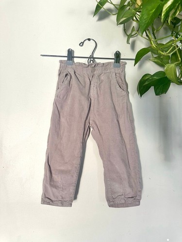 Zara pants
