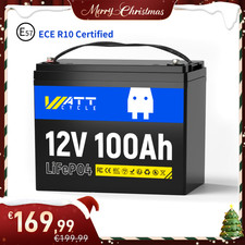 Batteria LiFePO4 12V 100Ah