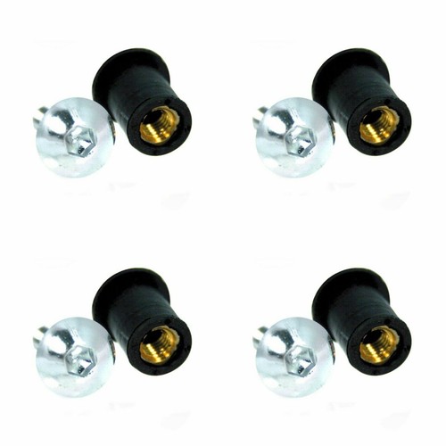Kit viti targa argento - viti,