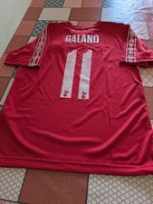 Maglia Bari Calcio 2016-17 Galano #11 S Shirt Maillot Trikot Jersey Home