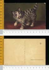 V0686] ANIMALI - CARTOLINA CON GATTO CUCCIOLO