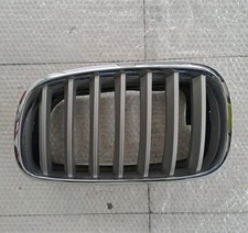 Griglia Radiatore Sinistra 51137157687 BMW X5 E70 X6 2006-2014 Usato Originale