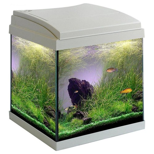 Acquario mtb milo - mtb, 30