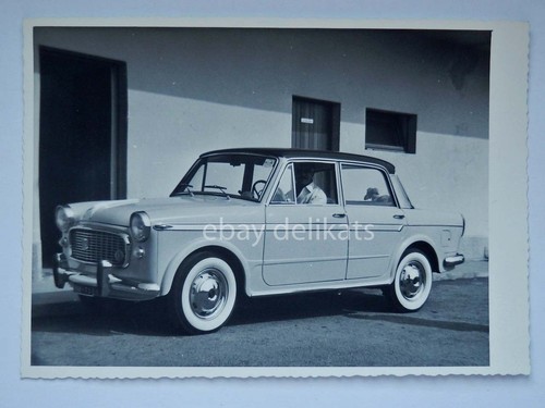 Trieste auto car lions - trieste,