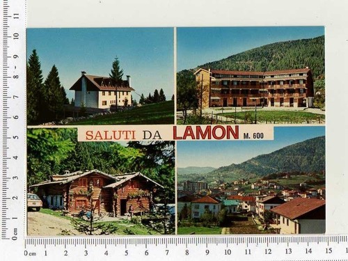 Cartolina lamon - cartolina,