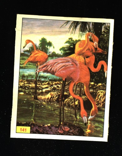 Animali preistorici - animali,