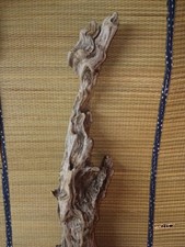 Incredibile bastone da